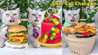 ASMR Enjoy 2023 Best Summer RECIPES With Chef Cat!|Cat Cooking Food|Cute And Funny Cat