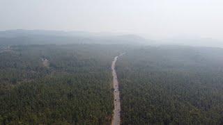 Beautiful Indian Road | NH 20 | Road to Tarini in Keonjhar Odisha | #Youtubeshorts #travelwithPJ