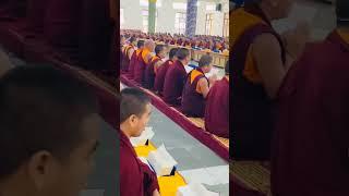 Monks always pray for you all happy in ur life  last pray for this year 2040 bye bye 2024 year