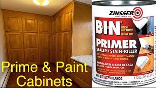 Paint Varnish Cabinets (Part 1)