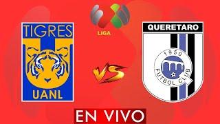 TIGRES UANL VS QUERETARO EN VIVO LIGA MX-CLAUSURA 2024/2025