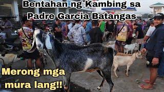 October 11, 2024 Presyo ng Kambing sa Padre Garcia Batangas Livestock Auction