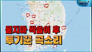 부동산 투기꾼들 작살난다