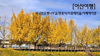 아산여행-곡교천 은행나무길, 현충사, 지중해마을, 카페에이엔(2024-11-20)