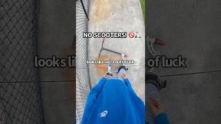 No scooters at my favourite skatepark! Roman Dellapena #shorts #maddgear #shortvideo #sports