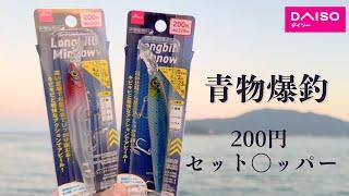 ダイソーの200円シンキングミノーで青物祭りがアツい