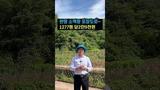 경북땅 시골땅, 평당2만9천원도 안되는 급매물 소액토지 싼땅 #산골땅 #소액땅 #급매매 #farming #주말농장