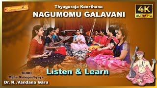 Carnatic Music Lessons #carnaticvocal #carnaticclassicalmusic #saamavedamusicacademy#tyagarajakrithi