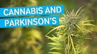 Cannabis Research in Parkinson's