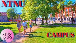 【4K】Taking Walk At NTNU (Norwegian University of Science and Technology) Park/Campus Virtual Tour