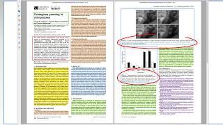 The Structure of Scientific Research Papers