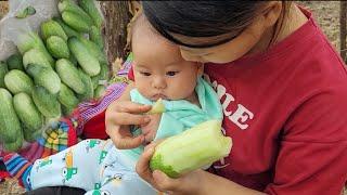 Single mother - Harvesting the first melons of the season, selling well