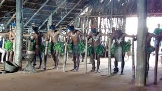 Watching a performance by Tucano Indians in the Brazilian Amazon.