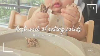 Baby led weaning menu for the 1st week | starting SOLIDS at 6 months old