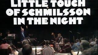 HARRY NILSSON In Concert - A Little Touch Of Schmilsson In The Night