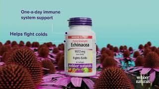 Webber Naturals Echinacea Extra Strength