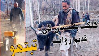 TabTho | Balti Culture | Gilgit Baltistan people are Working in field | Tolti Kharmang |