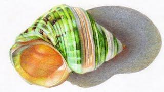 How to draw objects in colored pencil: green shell preview