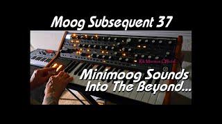 Moog Subsequent 37 Minimoog Sounds Into The Beyond Analog Synthesizer Rik Marston