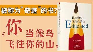 读书到底是为了什么？《你当像鸟飞往你的山》，一个美国大山里的真实故事！