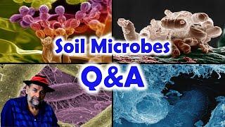 Soil Microbes in the Garden - Answering your questions in a Q&A session