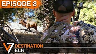 The Moment of Truth - Episode 8 (Destination Elk V7)