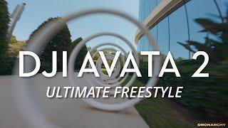 DJI AVATA 2 Ultimate Freestyle | Dronarchy FPV