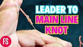 How To Tie Your Own !! LEADER TO MAIN LINE KNOT || Fishing || Fishing Video || For Beginner Anglers.