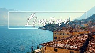 LIMONE | The secret for longevity