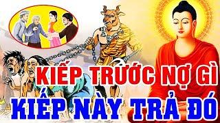 Luật Nhân Quả Không Trừ 1 Ai, KIẾP TRƯỚC NỢ GÌ.. KIẾP NÀY TRẢ ĐÓ - Chuyện Nhân Quả Hay Nhất 2024