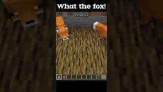 What the fox! 