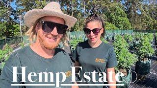 CBD X Hemp Estate we worked at for a few weeks on our travels