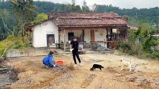 To Avoid Super Typhoon ~ This Couple Returns Countryside Renovate Abandoned House & Live with animal