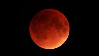 RAPTURE ALERT: 11 NOVEMBER 2022: CONSECRATION OF JUBILEE YEAR:  6 NOVEMBER 2022.