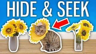 Extreme CAT Hide And Seek - Challenge