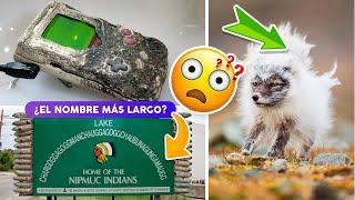 19 Curiosidades interesantes que quizás no sabías 