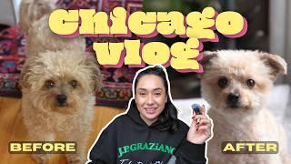 17 min of living in CHICAGO vlog  | Jan/Feb 2025 | SOUTH LOOP & PILSEN