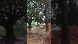 Brijesh Patel song video