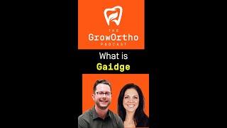 What Is Gaidge? - HIP Creative