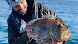 HOW TO: CATCH JOHN DORY