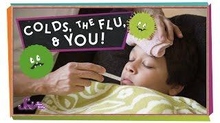 Colds, the Flu, and You