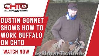 Dustin Gonnet Shows How to Work Buffalo on CHTO