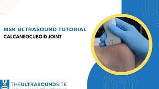 MSK ultrasound evaluation of the calcaneocuboid joint in the foot