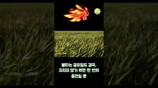 금요일은 놀아도 좋고, 멈춰도 좋은 날이다. #브이로그 #동기부여 #정대표 #중년유튜버 #구미시 #고프로브이로그 #명언 #자기계발 #쇼츠영상 #성공 #일상기록 #꿈