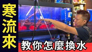 寒流來～教你怎麼換水