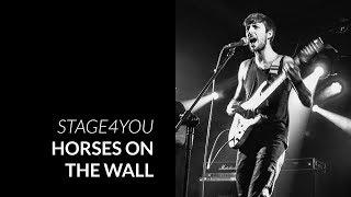 Horses on the Wall - Stage4YOU