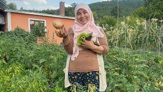 KÖYDEN AYRILIŞ VLOGU | BAHÇENİN GÜZ BEREKETİNİ TOPLADIK | İZMİR’E ÇOCUKLARIMIZA GELDİK