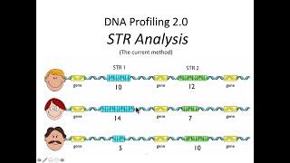 STR DNA