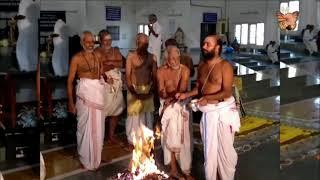 Ashram 8th July 2011 Clips | Yogi Ramsuratkumar Ashram | Tiruvannamalai | Glimpses