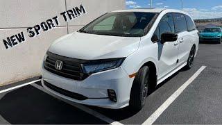 2023 Honda Odyssey Sport - Walkaround - What's New ?